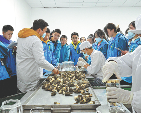 Edible fungus industry stimulates rural revitalization in Guiyang