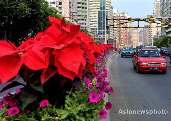 Guiyang road gets face-lifted for games