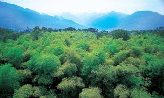 Beautiful Chishui in fascinating Zunyi