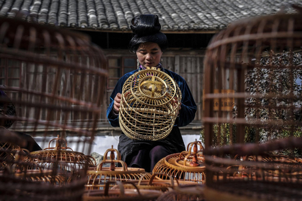 Kala village, China's birdcage capital