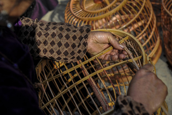 Kala village, China's birdcage capital