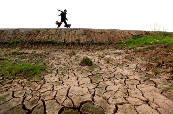 Drought continues to wreak havoc in SW China