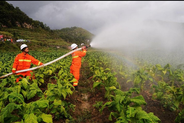 38 counties in Guizhou faced with serious drought