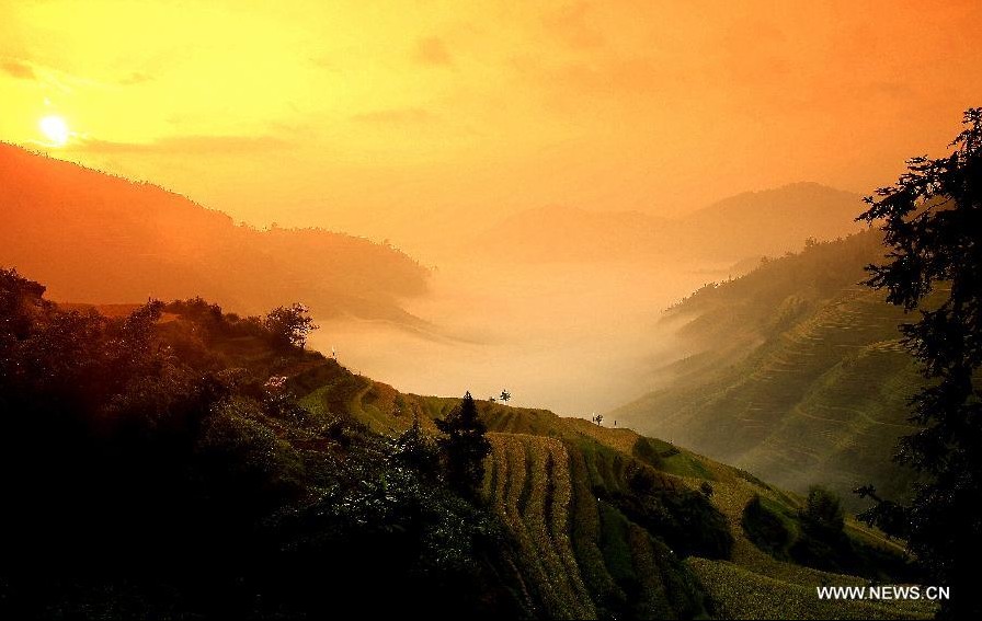 Scenery of terraced fields in SW China