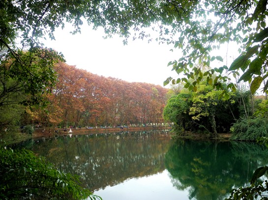 'Golden Avenue' in Guiyang