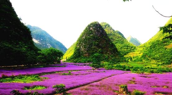guizhou+attractions+make