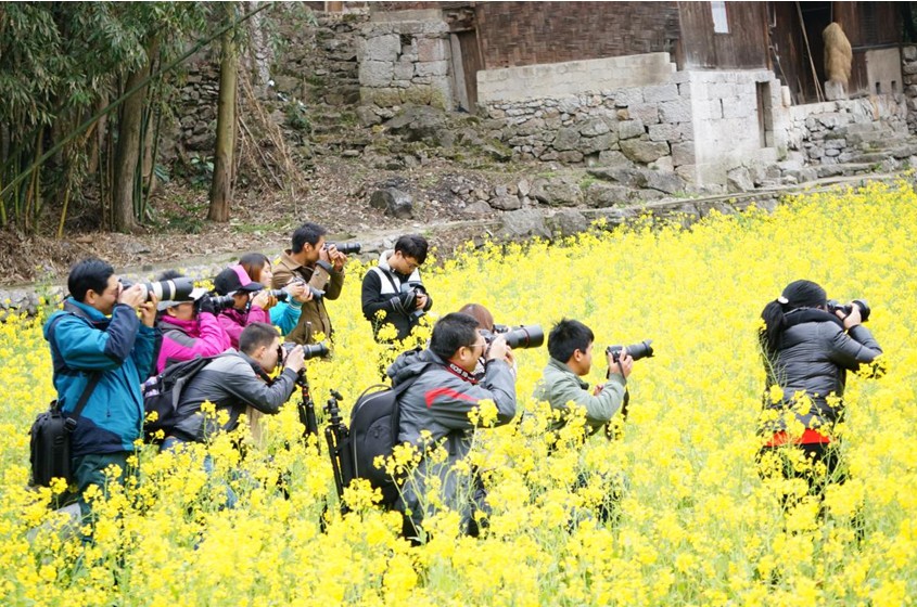 Enjoy the beauty of canola flowers in Guizhou