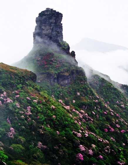 Fanjing Mountain applies for UNESCO World Natural Heritage recognition