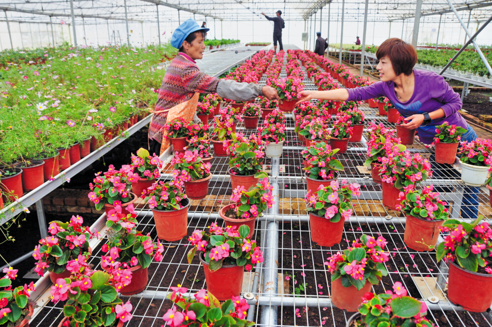 Weining county excels in agriculture and tourism integration