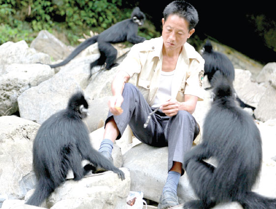 Tamer takes care of rare-monkey business