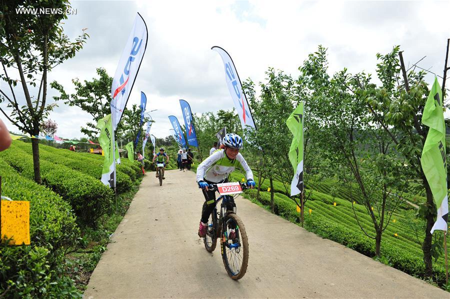 Tea cultural festival opens in SW China's Guizhou