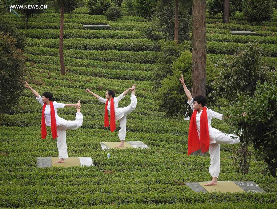 Tea cultural festival opens in SW China's Guizhou