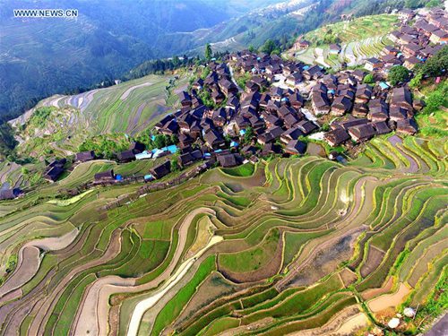 Scenery of Jiabang terraces in China's Guizhou