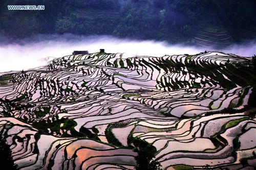 Scenery of Jiabang terraces in China's Guizhou