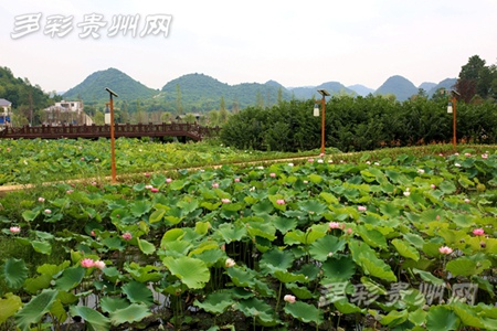 Guiyang has 44 parks under construction