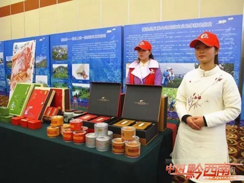 Qinglong attracts attention in Guiyang