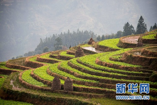 Mysterious Jiabang Rice Terraces are a winter delight