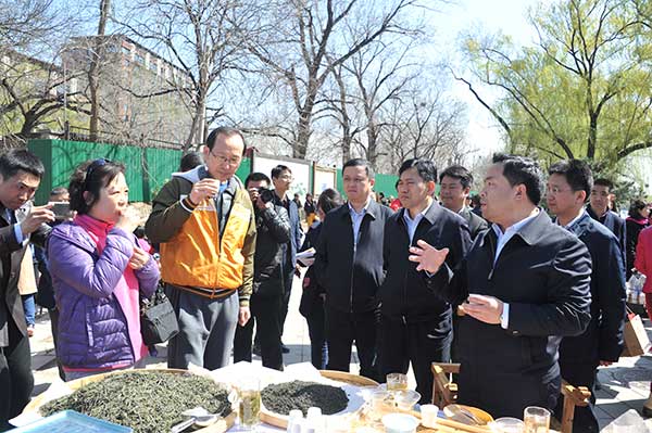 Guizhou green tea popular at promotion