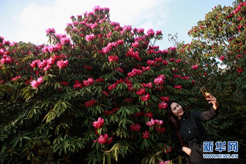Foreign diplomats enjoy visit to Guizhou