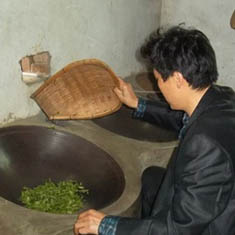 The Duyun Maojian Tea processing technique