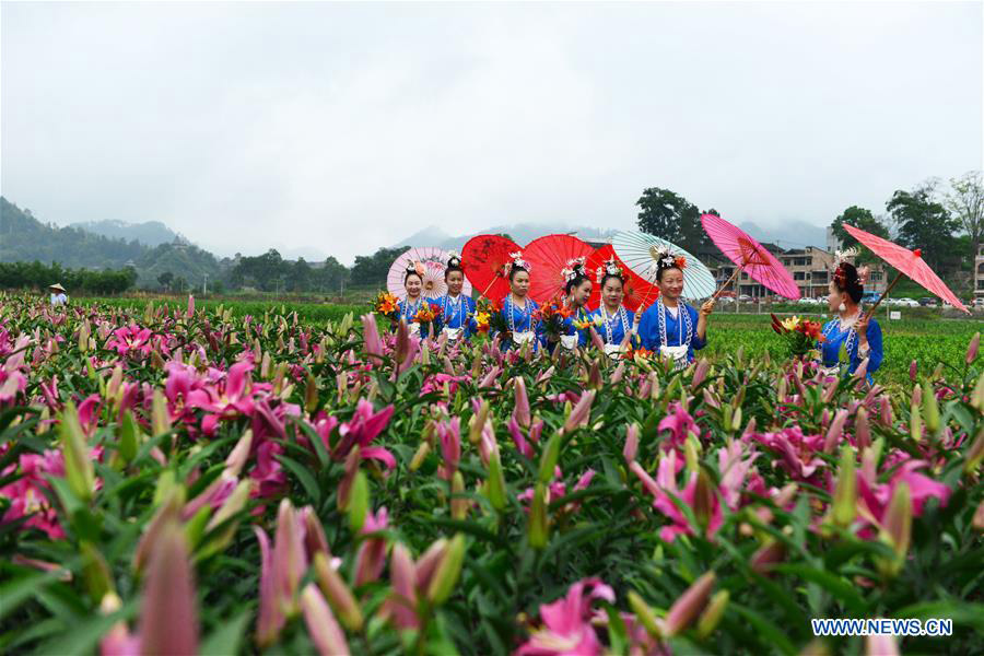 Tourists visit lily garden in SW China's Guizhou