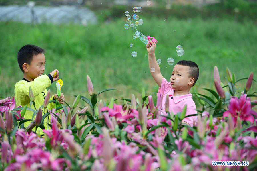 Tourists visit lily garden in SW China's Guizhou