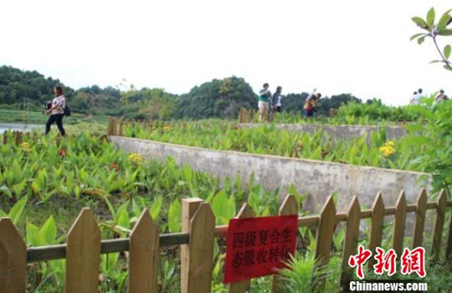 Efforts to improve environment across Guizhou
