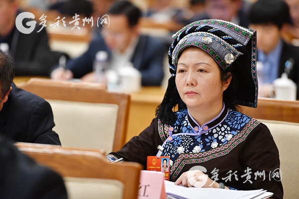 Guizhou NPC deputies and CPPCC members share opinions on rural revitalization