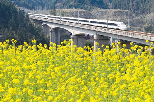 Guizhou: Crafting a way out of poverty