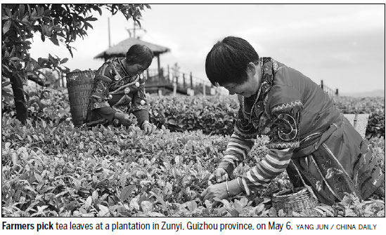 Lipton to sell Guizhou tea globally