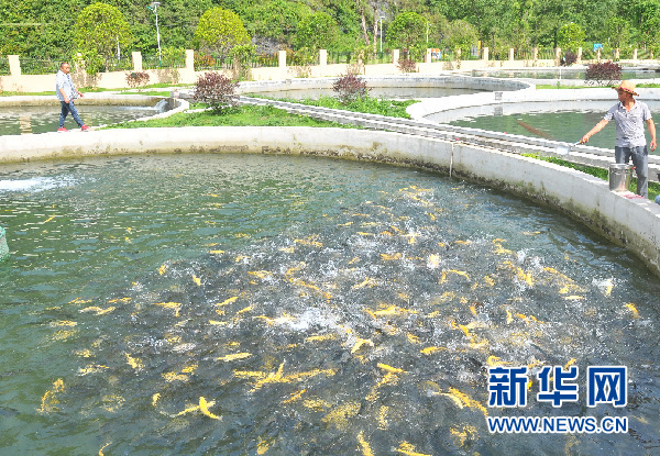 Guizhou practices making waters and mountains valuable