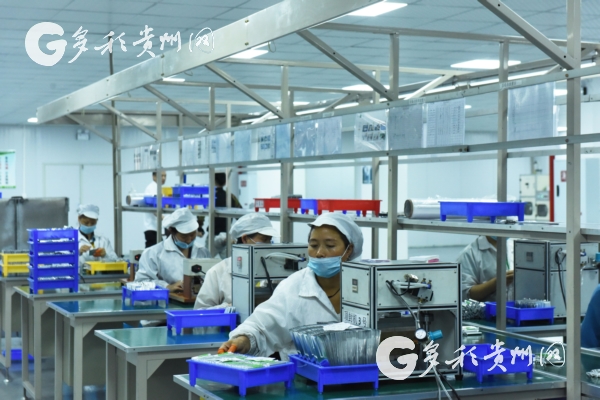 Guizhou launches enterprise reform to improve green development