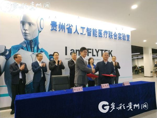 Guizhou explores application of AI in medical care