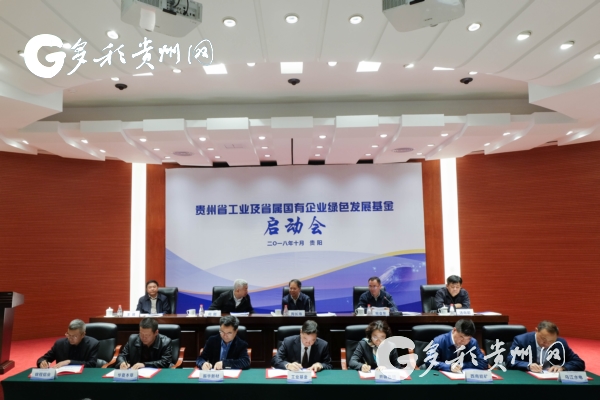 Guizhou launches $4.33 billion foundation for SOE development