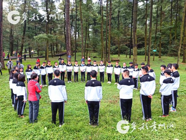 Guizhou launches forest experience project with Germany