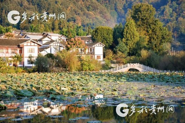 Guizhou rural areas attractive to African friends