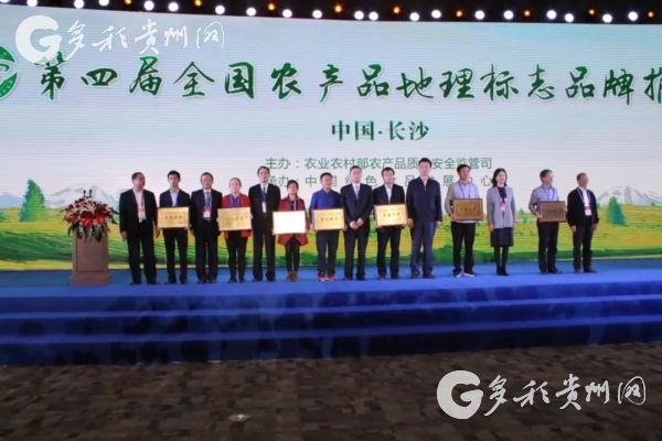 Guizhou Green Tea wins national title for agricultural products