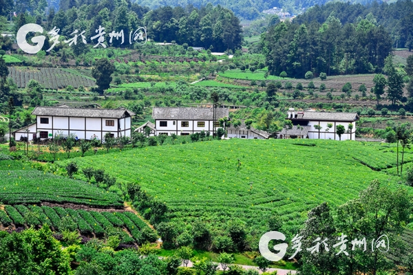Guizhou gets two places into national innovative construction project
