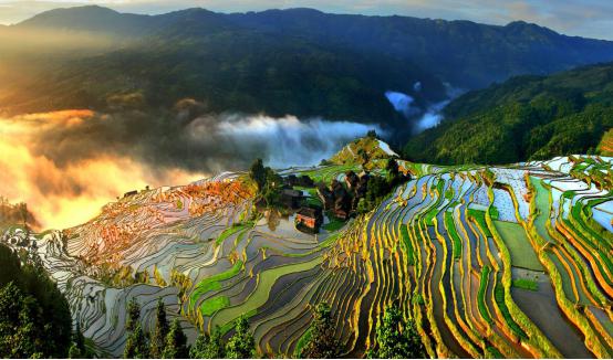 Green development in Guizhou promoted in Argentina