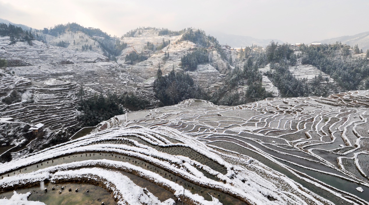 Freezing terraced fields in SW China's Guizhou