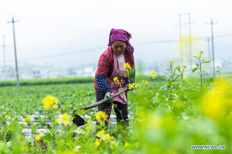 Guizhou gov't increases poverty alleviation efforts in rural areas