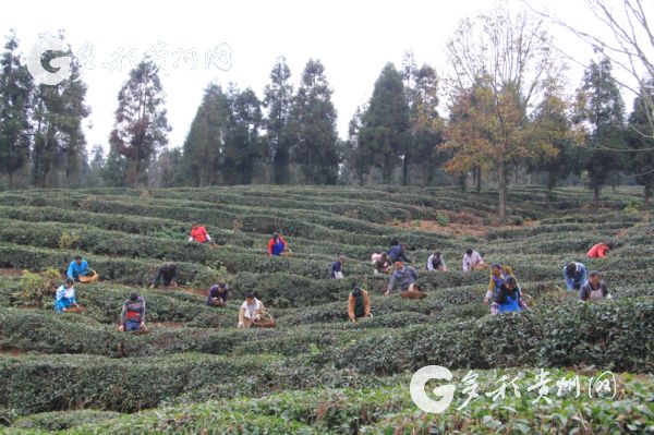 Liupanshui succeeds in industrial restructuring