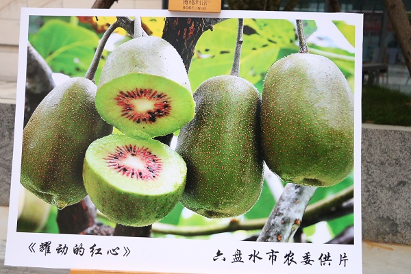 Liupanshui succeeds in industrial restructuring