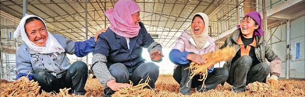 Farmers grow way to prosperity