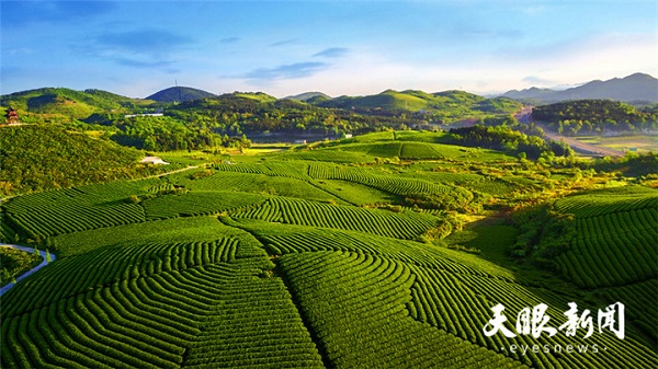 Guizhou to overcome short boards in rural revitalization