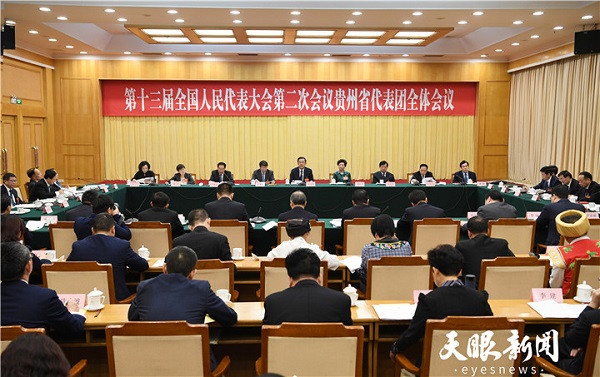Guizhou NPC delegation reviews foreign investment law
