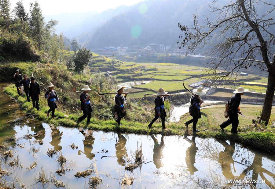 Villager of Dong ethnic group plants trees voluntarily for over 30 years in Guizhou, SW China