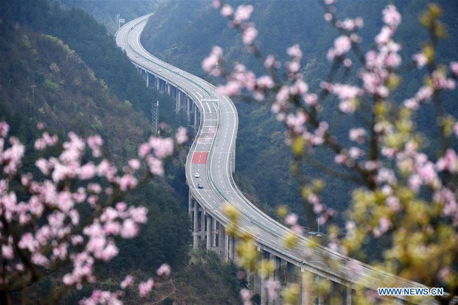 Blooming flowers along Sijian expressway in SW China's Guizhou