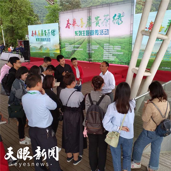 Guizhou tea to be nationally promoted