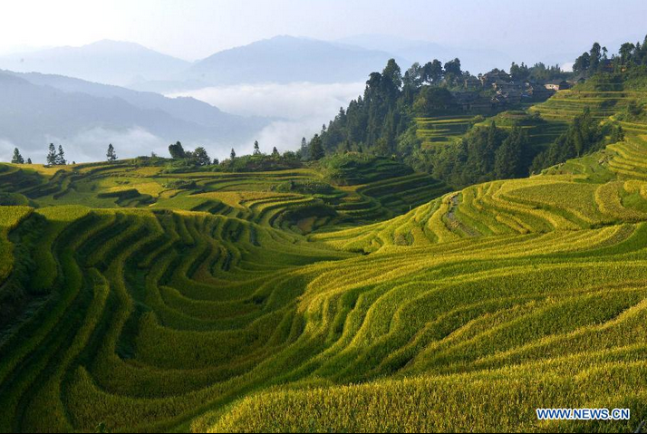 Scenery of Yueliang Mountain in Guizhou